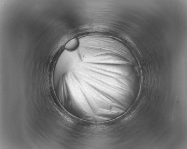 X0000061120978200512022148