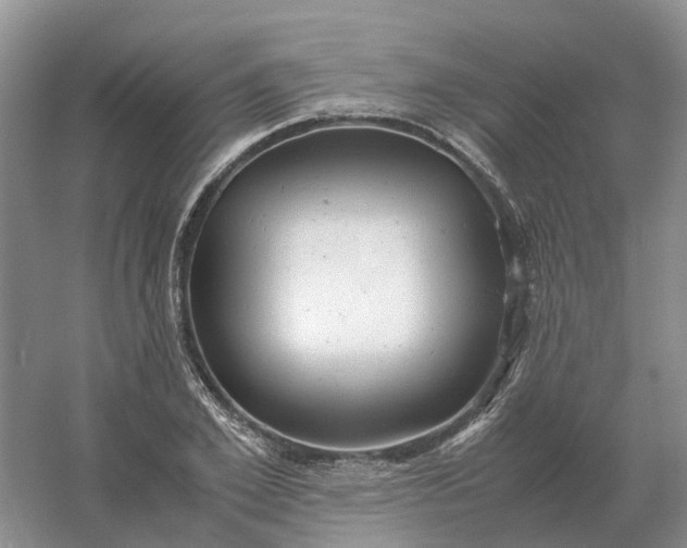 X0000061120981200512022148