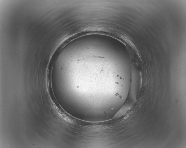 X0000061120984200512022148