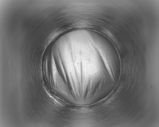 X0000061120986200512022148