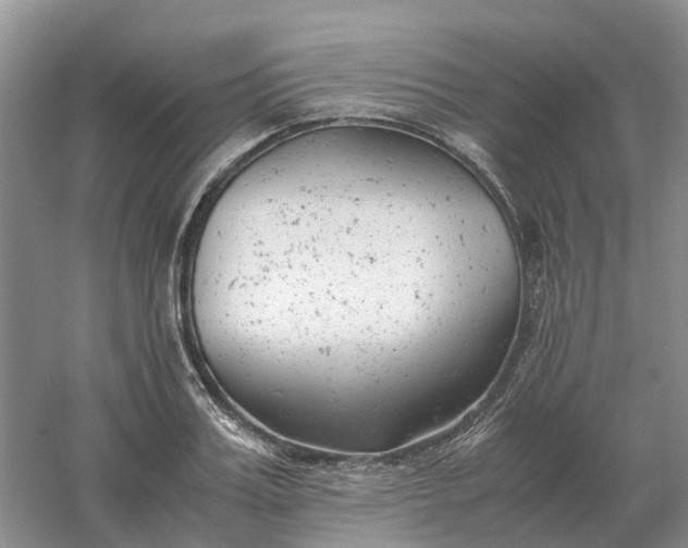 X0000061120987200512022147