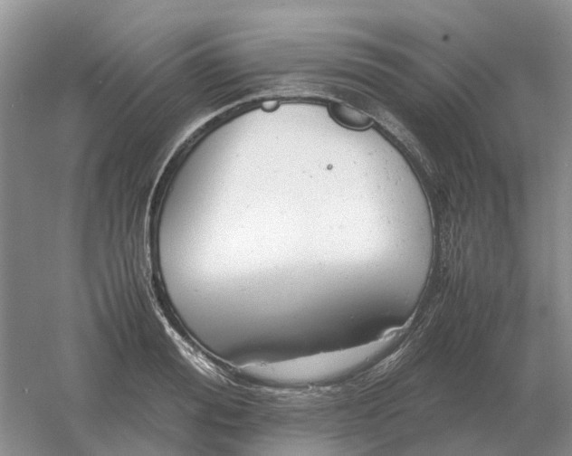 X0000061120988200512022147