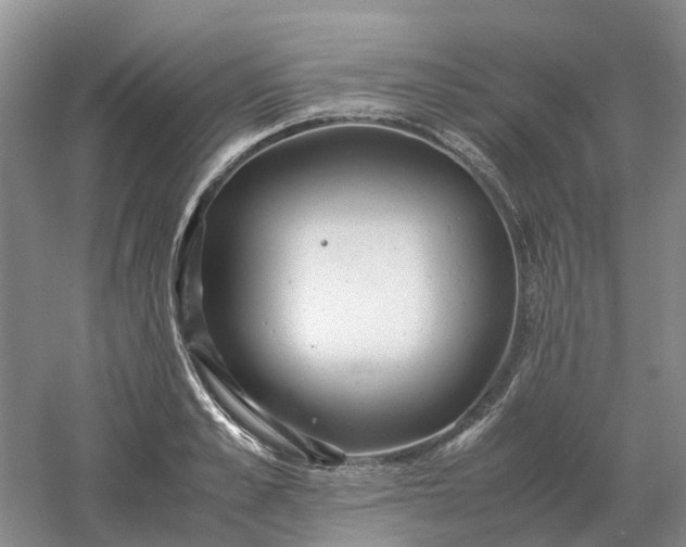 X0000061120989200512022147