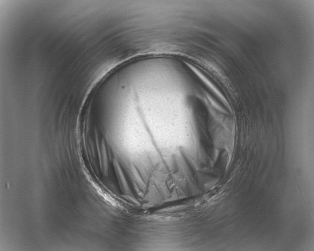 X0000061120990200512022147