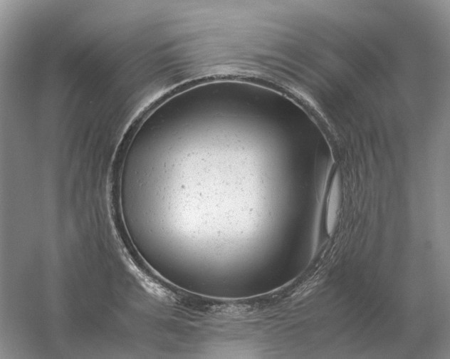 X0000061120991200512022147