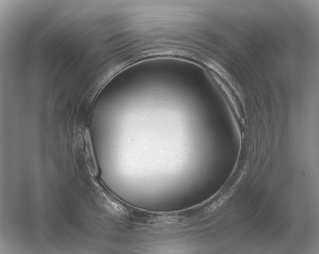 X0000061120993200512022147