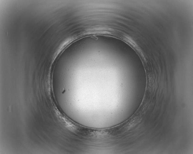 X0000061120994200512022147