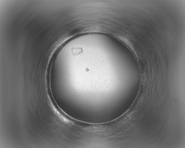 X0000061120995200512022147