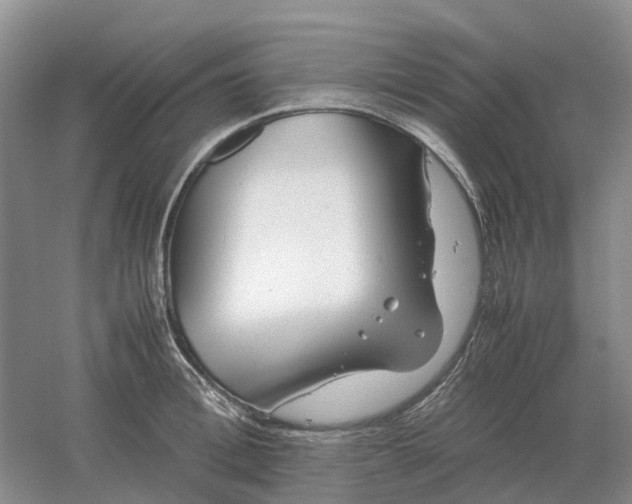 X0000061120996200512022147