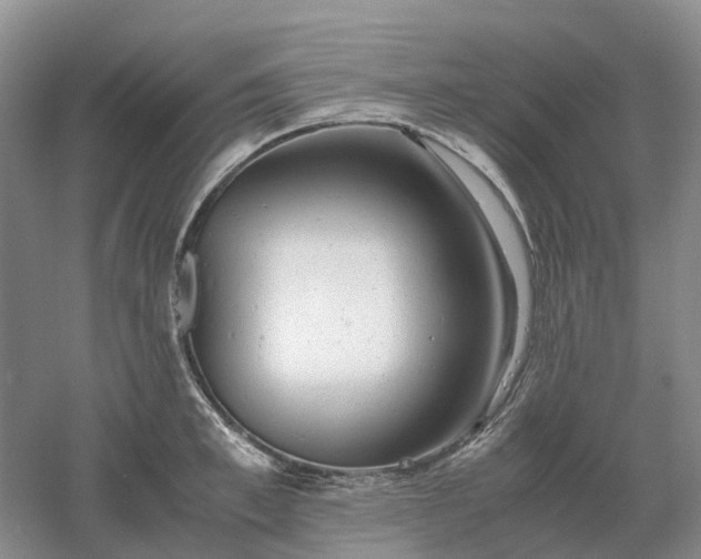 X0000061120997200512022147