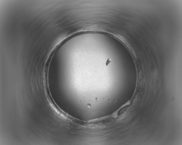 X0000061120998200512022147