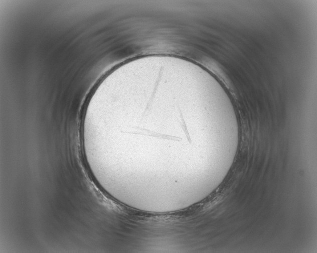 X0000061121000200512022147