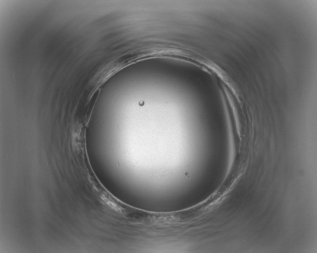 X0000061121001200512022147