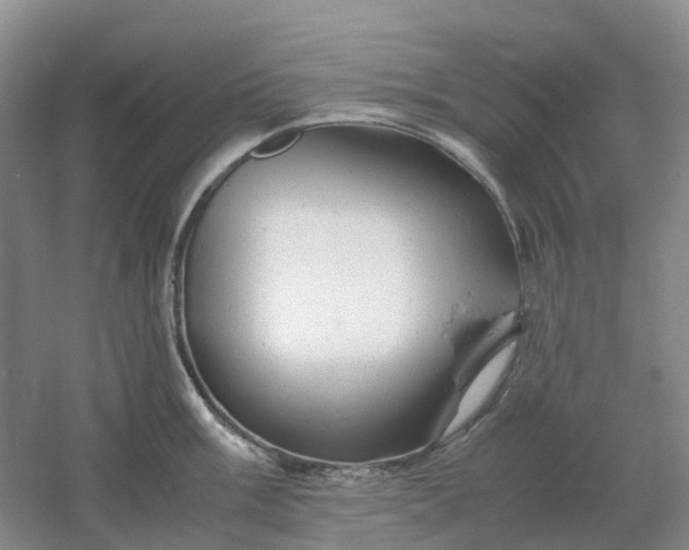 X0000061121003200512022147