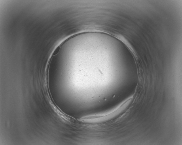 X0000061121004200512022147