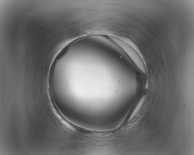 X0000061121005200512022147