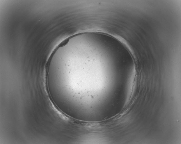 X0000061121006200512022147