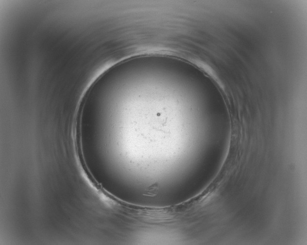 X0000061121007200512022147