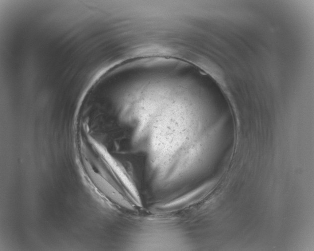 X0000061121008200512022147