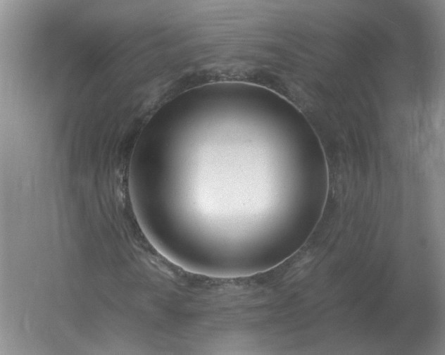 X0000061121010200512022146