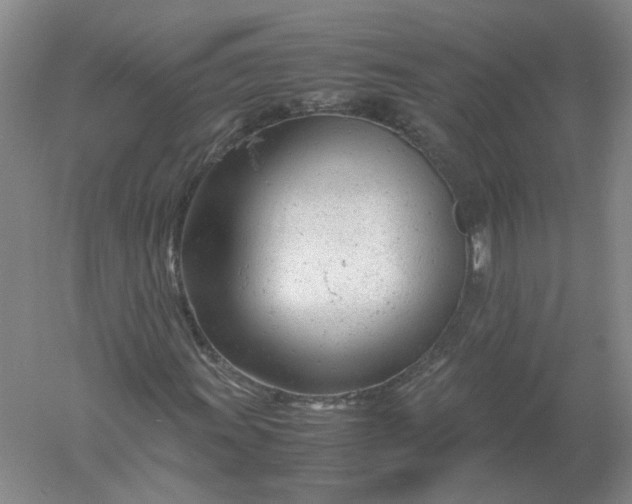 X0000061121011200512022146