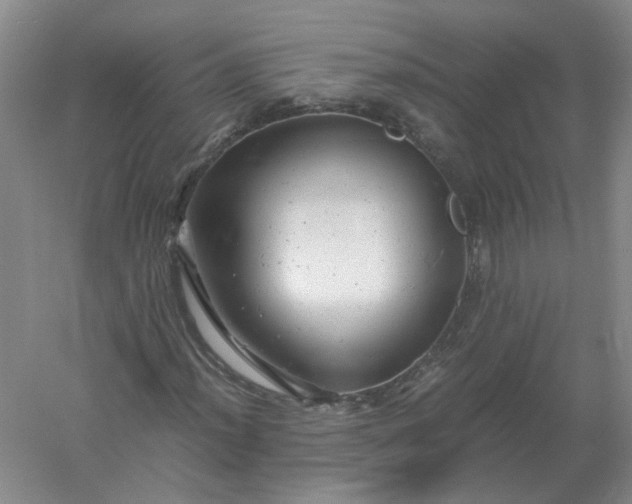 X0000061121012200512022146