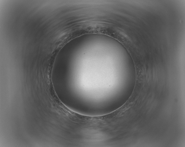 X0000061121013200512022146