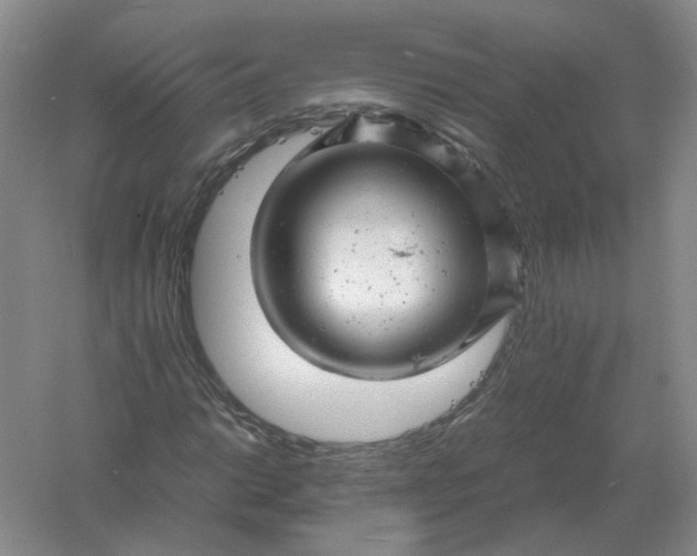 X0000061121014200512022146