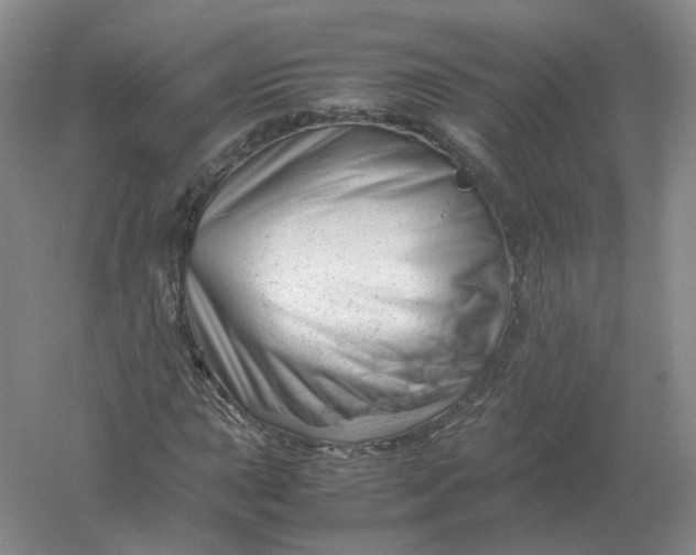 X0000061121015200512022146