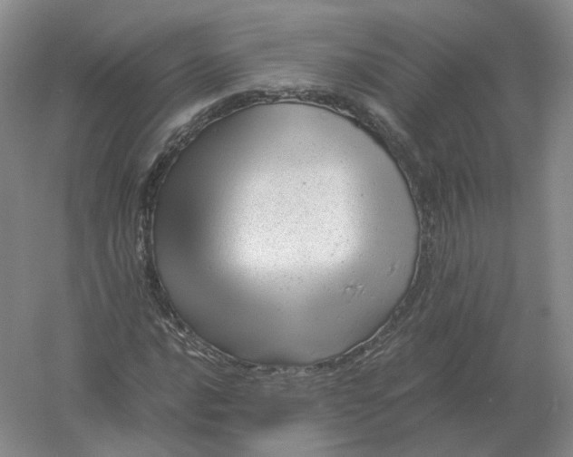 X0000061121016200512022146