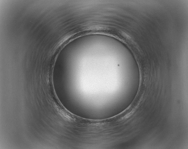 X0000061121017200512022146