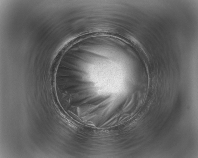 X0000061121019200512022146