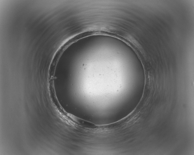 X0000061121020200512022146