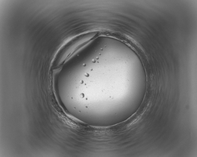 X0000061121021200512022146