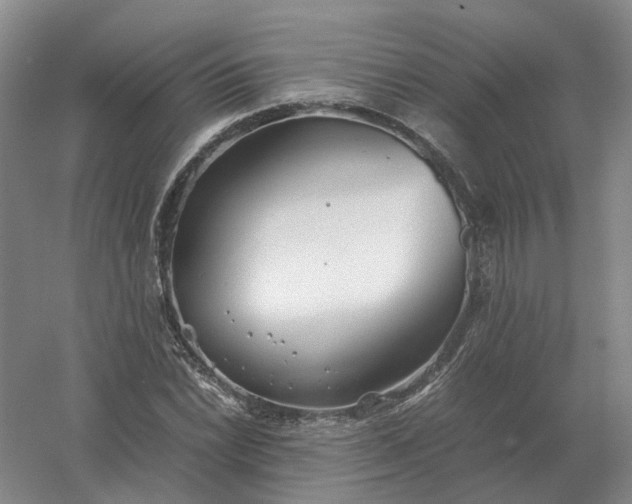 X0000061121022200512022147