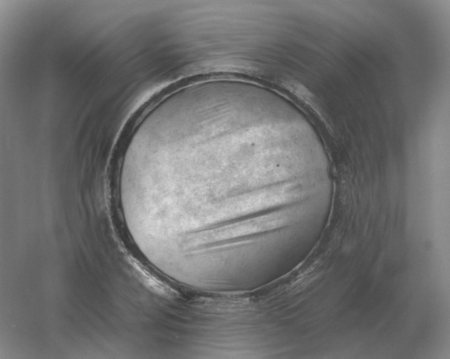 X0000061121024200512022147