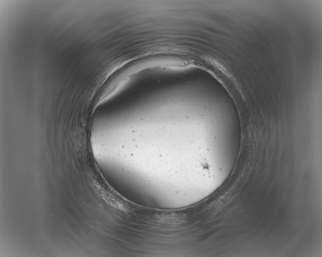 X0000061121025200512022147