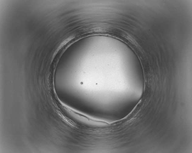 X0000061121026200512022147