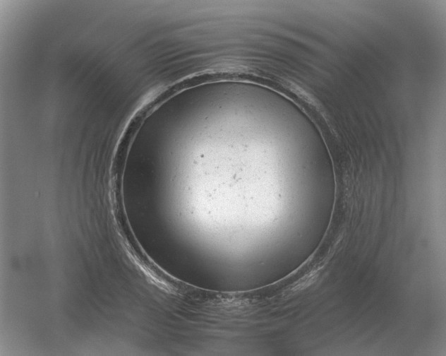 X0000061121029200512022147