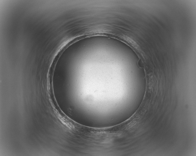 X0000061121031200512022147