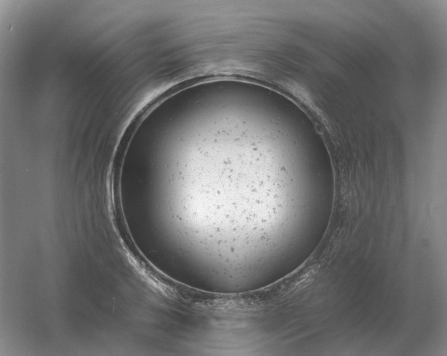 X0000061121032200512022147