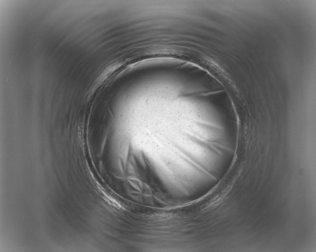 X0000061121033200512022147