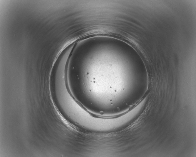 X0000061121034200512022147