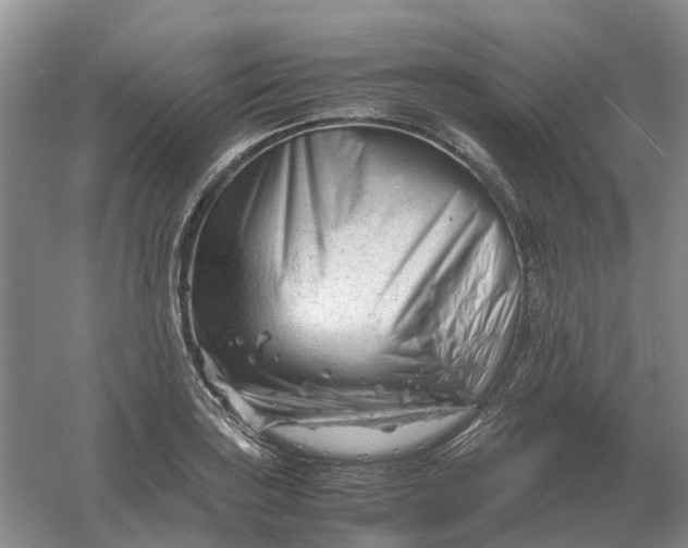 X0000061121035200512022147