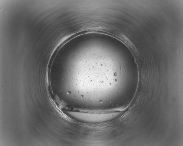 X0000061121036200512022147