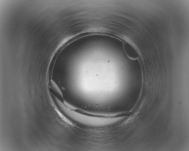 X0000061121037200512022147