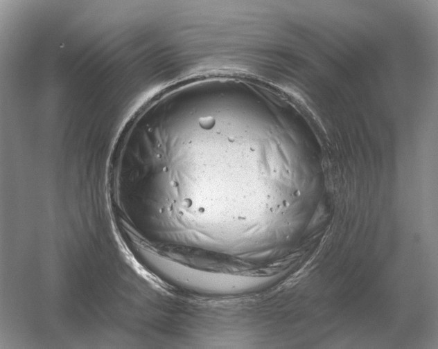 X0000061121038200512022147