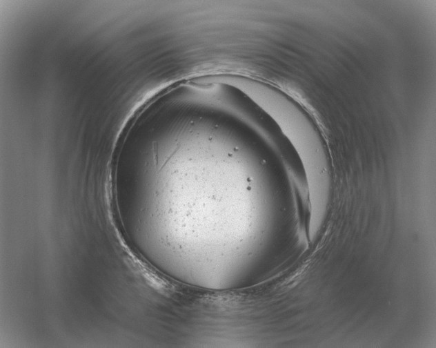 X0000061121040200512022147