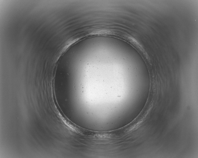 X0000061121041200512022147