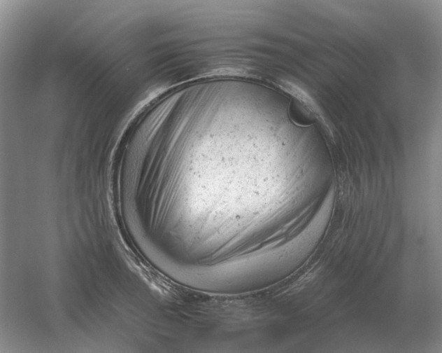 X0000061121043200512022147